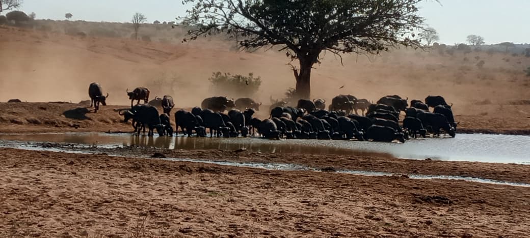 Samburu safari destination