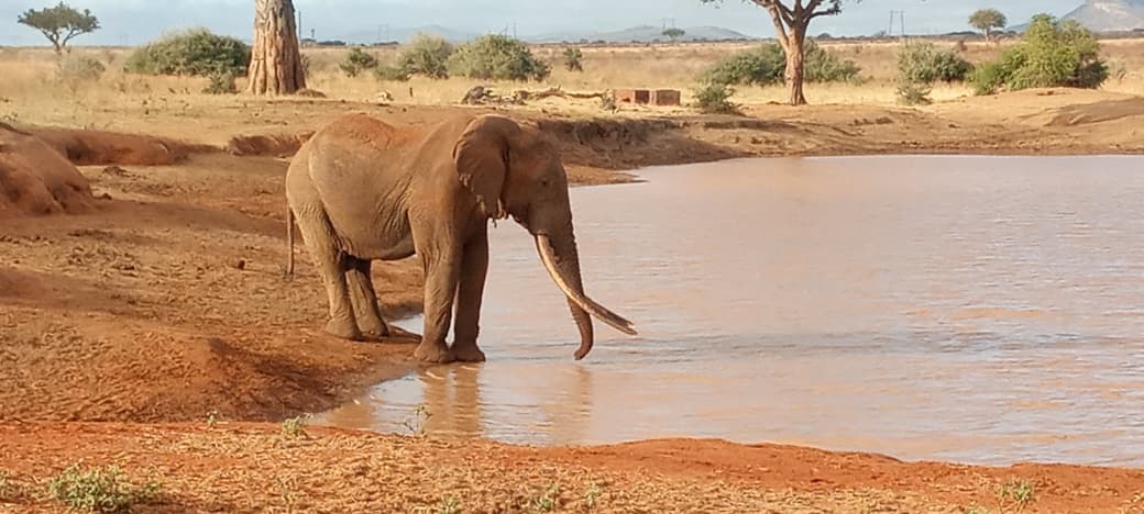 Tsavo East & Tsavo West safari destination